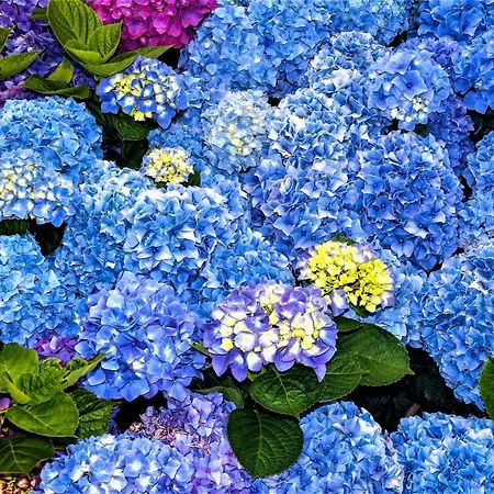 Bed & Breakfast Casa Inti / Inti House