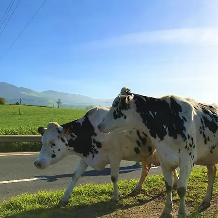 Casa Inti / Inti House Furnas (Azores)