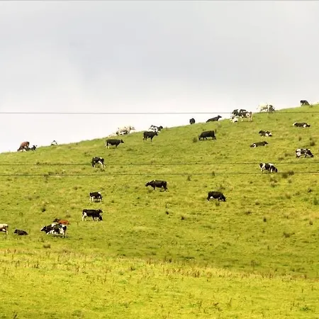 Bed & Breakfast Casa Inti / Inti House