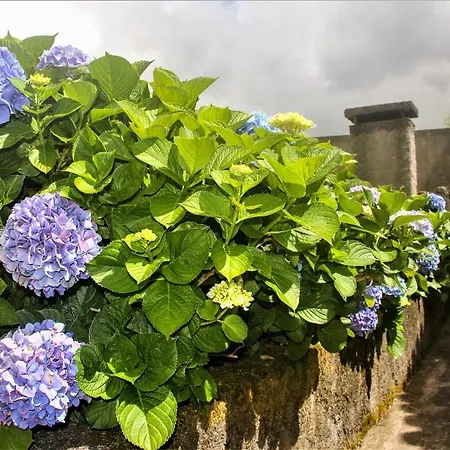 Casa Inti / Inti House Bed & Breakfast Furnas (Azores)