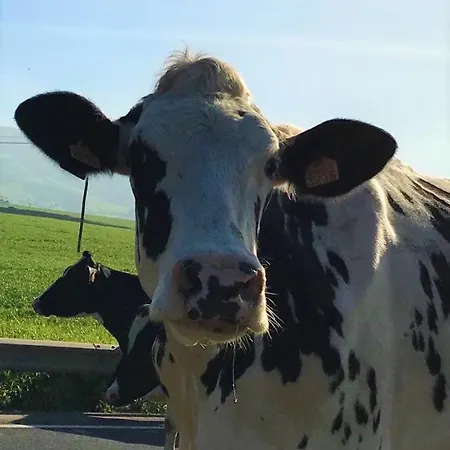 Bed & Breakfast Casa Inti / Inti House 4*