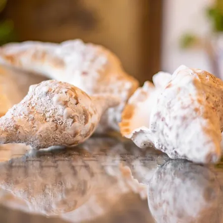 Bed & Breakfast Casa Inti / Inti House